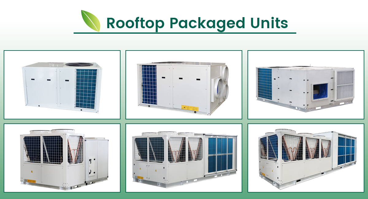 Изображение1